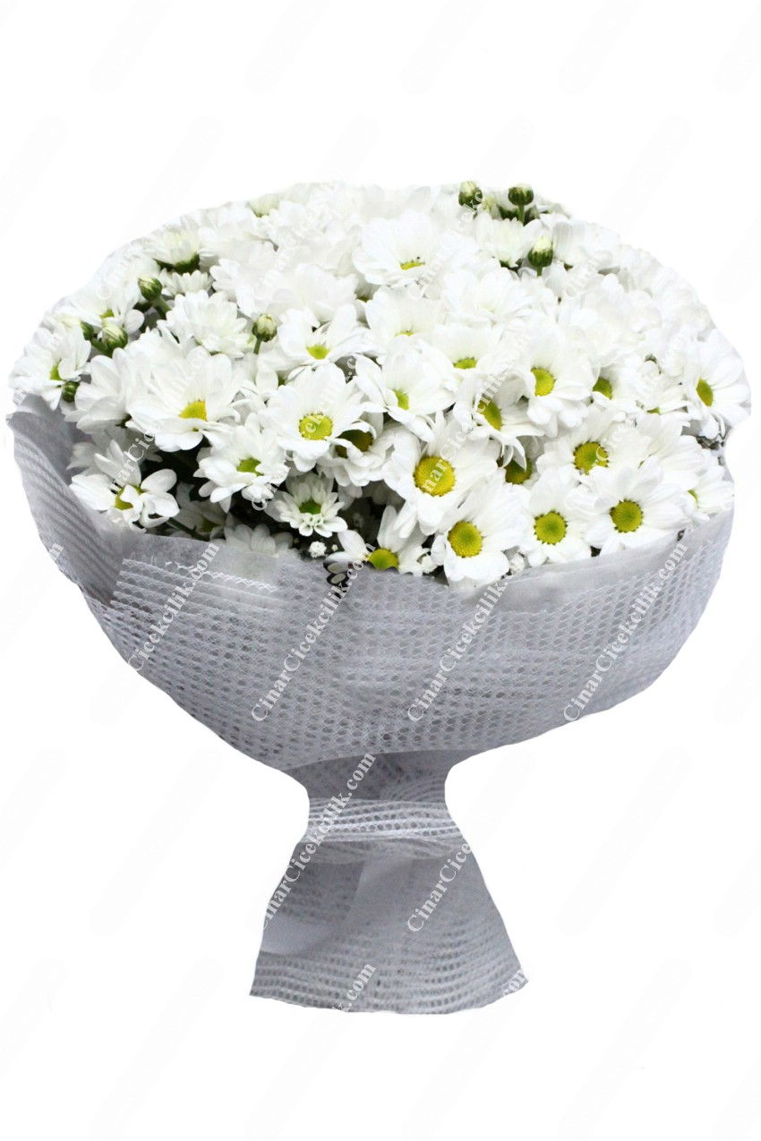 En Güzeli Papatya Kır Çiçeği C-BUK153