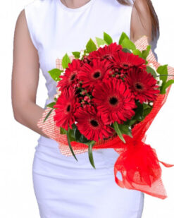 Jerbera Buketi