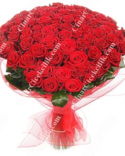 101 Adet Kırmızı Gül Ucuza