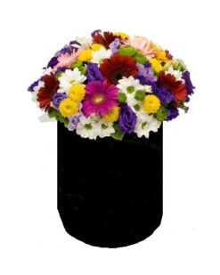 Kutu İçinde Mevsim Çiçekleri