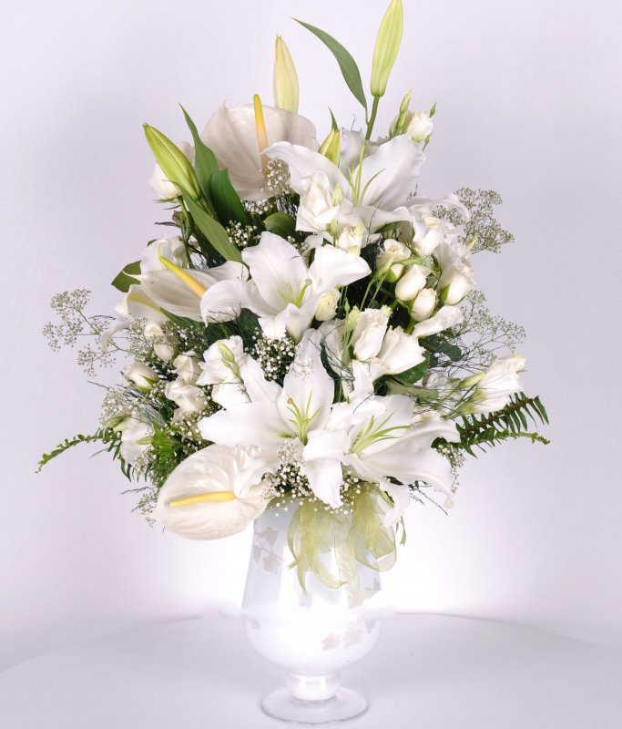 Beyaz Düş Lilyum Gül Antorium C-AR105 - Görsel 2