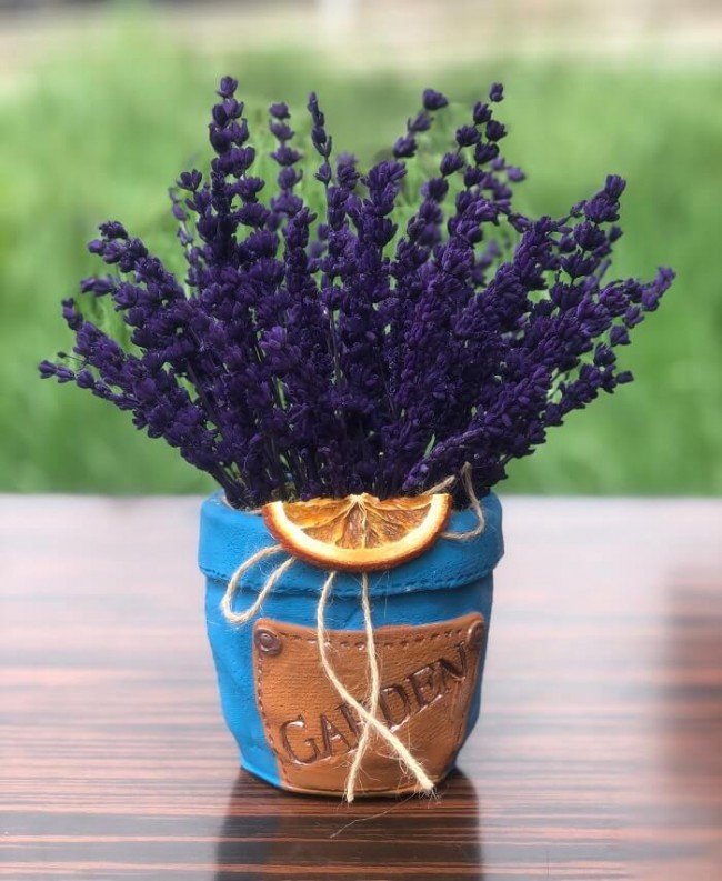 Ölümsüz Aşk Kuru Kokulu Lavanta - Görsel 2