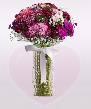 Aynı Gün Hızlı Teslimat'' MEVSİMİN GÜZEL RENKLİ KIR ÇİÇEĞİ - Görsel 2