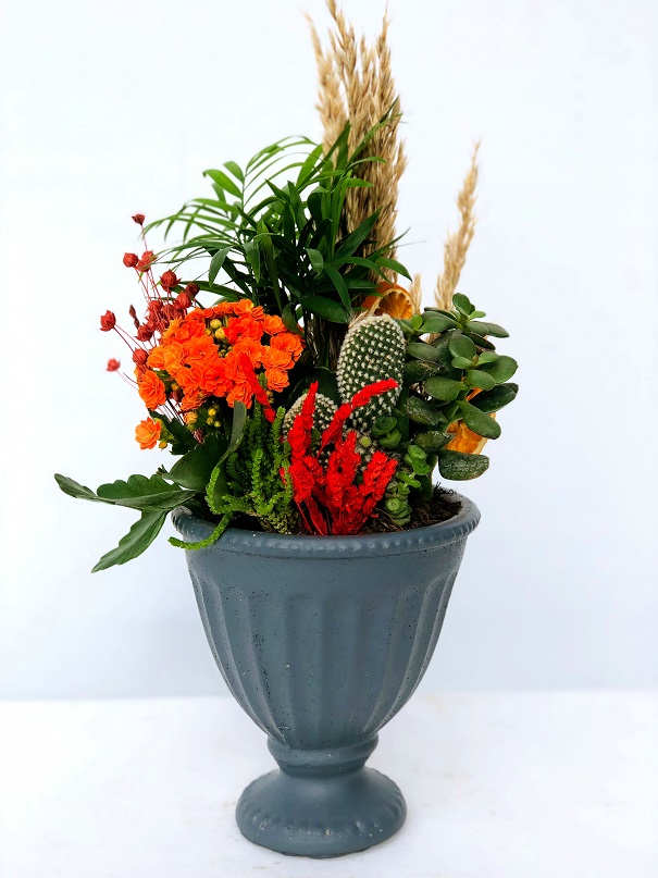 Paisler Dekoratif Vazoda Teraryum