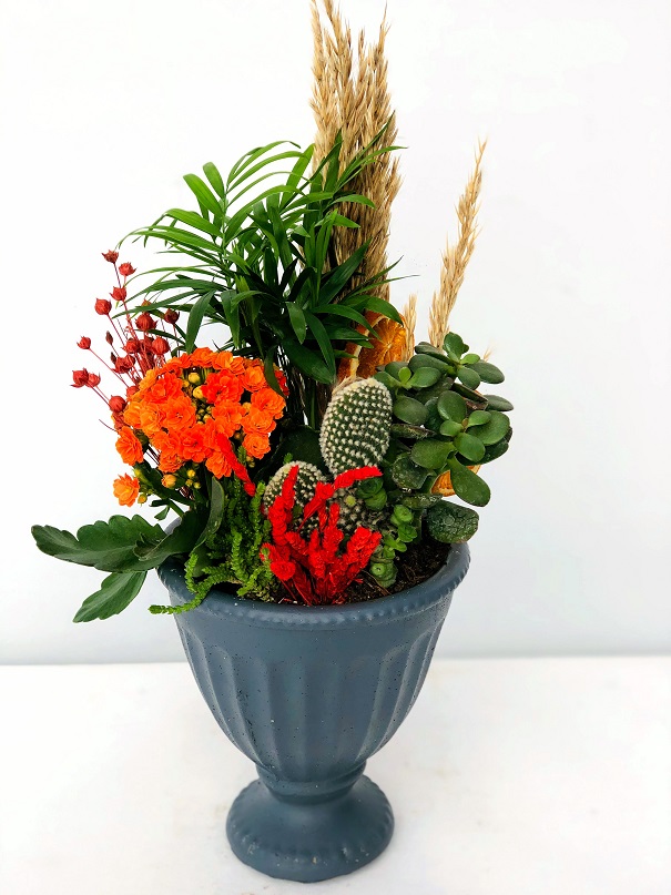 Paisler Dekoratif Vazoda Teraryum - Görsel 2