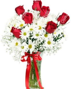 Kalbim Senin Papatya Gül C-CAM129