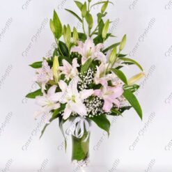 Sihirli Pembe Kokulu Lilyum C-AR143