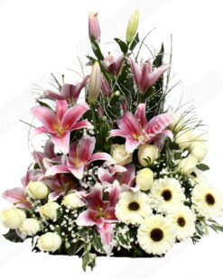 Bahar Esintisi Pembe Lilyum  C-AR117