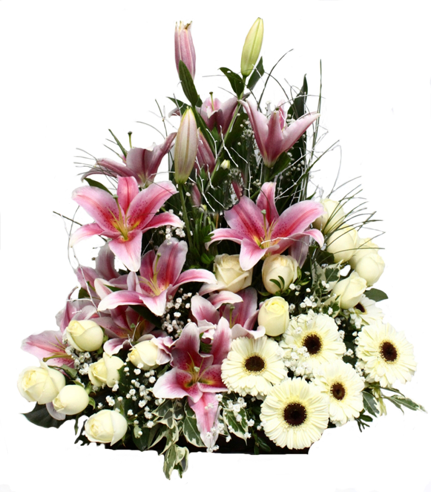 Bahar Esintisi Pembe Lilyum C-AR117 - Görsel 2