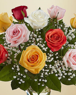 Renkli Rüyam Benim - C-GL102