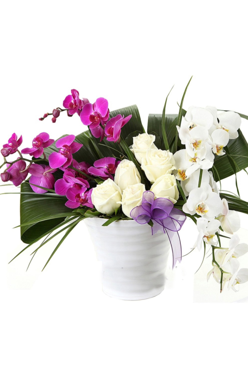 Güzel Aşk Beyaz Pembe Orkide Gül C-SER119 - Görsel 2