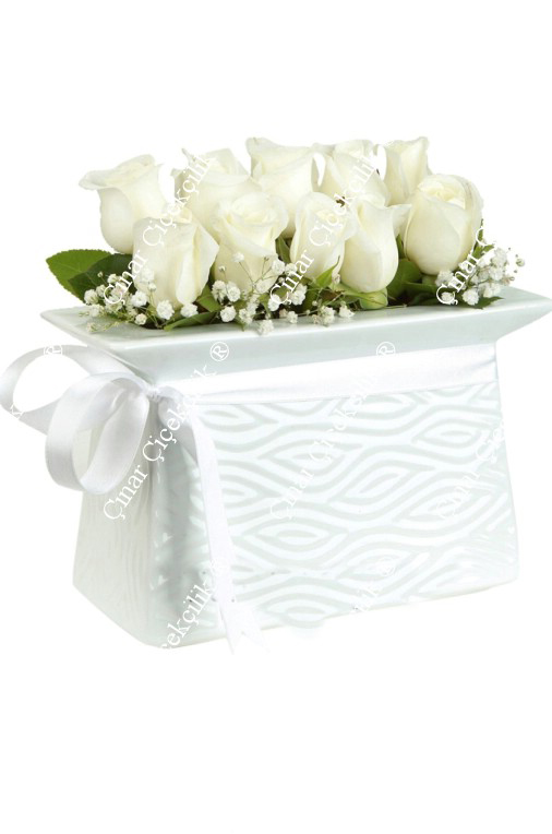 Aşk ve Romantizm Beyaz Gül C-SER110 - Görsel 2