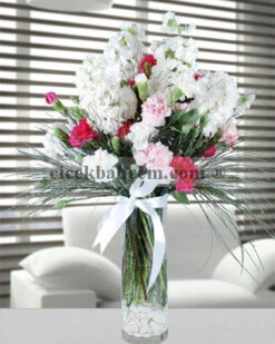 Şebboy ve Karanfil Arajmanı