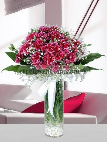 Bahar Esintisi Renkli Karanfil - Görsel 5