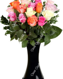 15 Renkli Birinci Sınıf Güller C-CAM127