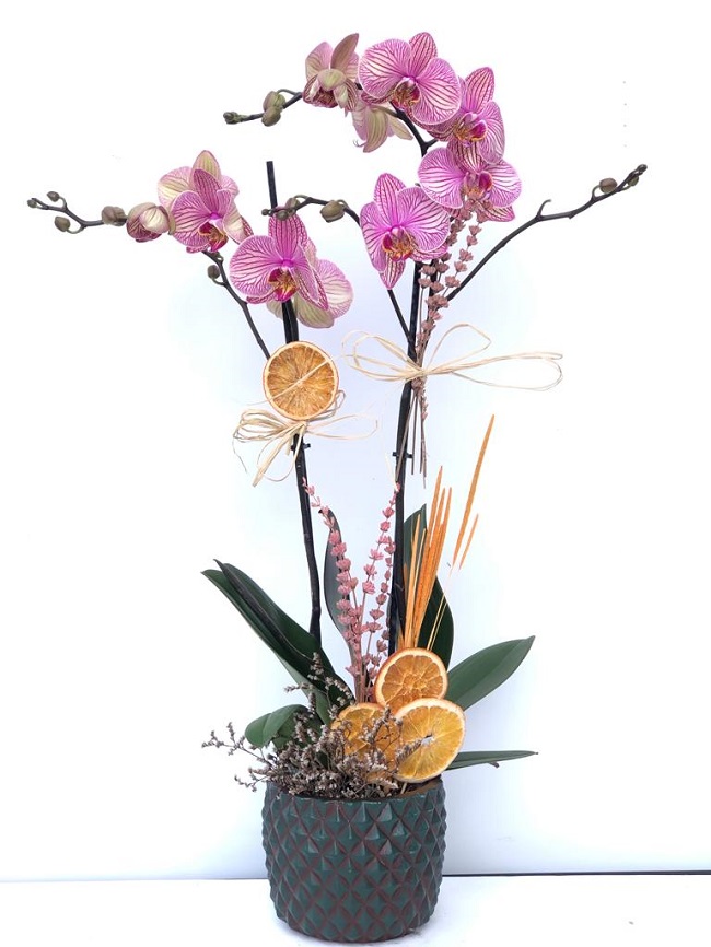 Çift Dal Pembe Sevgilime C-OR155 - Görsel 3