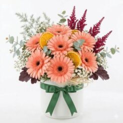 Kindred Vazoda Pembe Gerbera